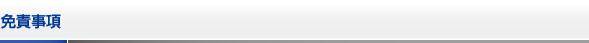 免責事項